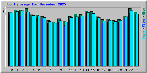 Hourly usage for December 2025