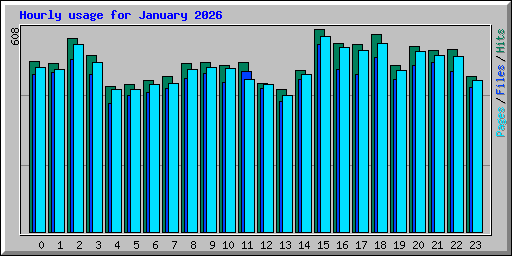 Hourly usage for January 2026